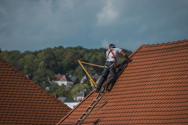 5 Things You Must Know Before Changing Your Roof | Spurzine