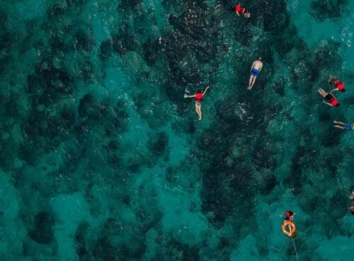 8 Amazing Adventure Ideas You and Your Besties Can Enjoy While at Sea | Spurzine