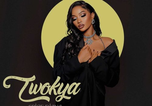 Twokya – Spice Diana Lyrics 30 Twokya – Spice Diana Lyrics | Spurzine
